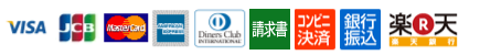 VISA MasterCard JCB American Express Dinaers Club International
